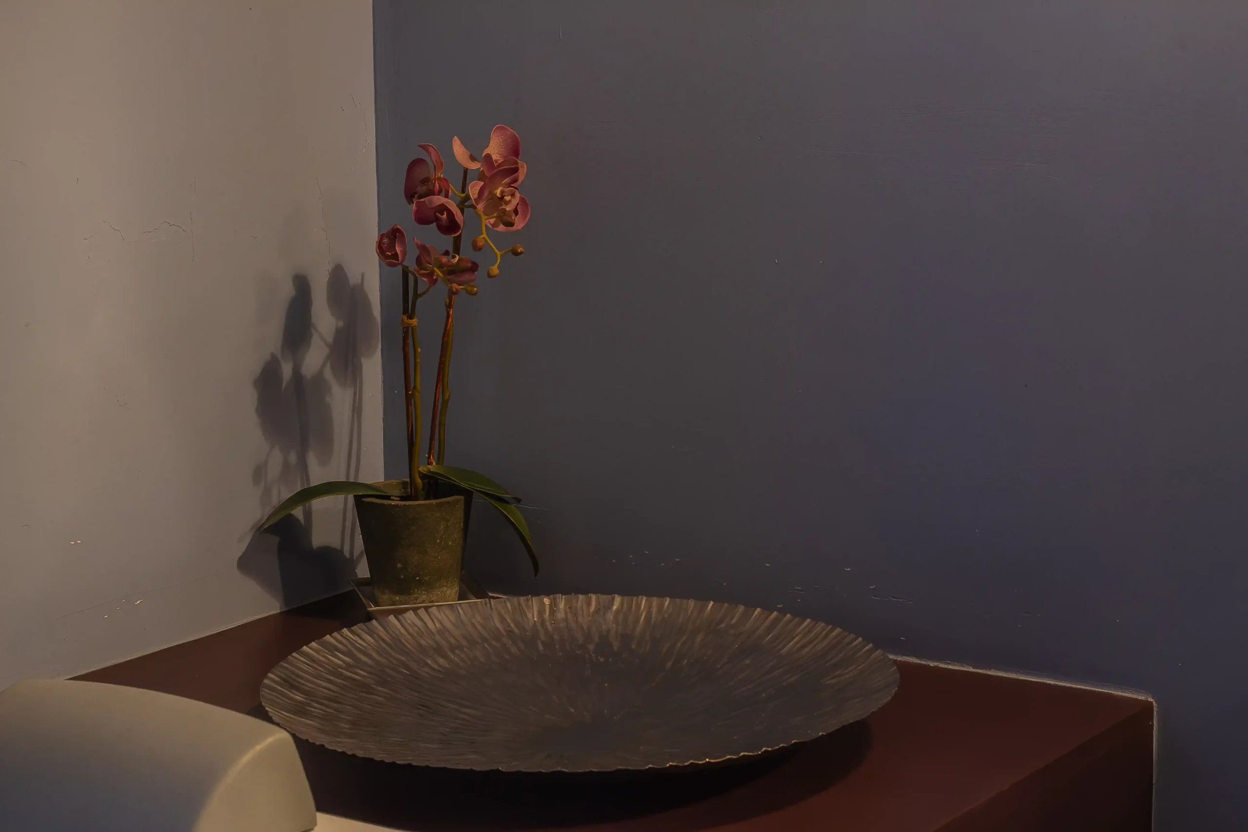 louis-sullivan-fiore